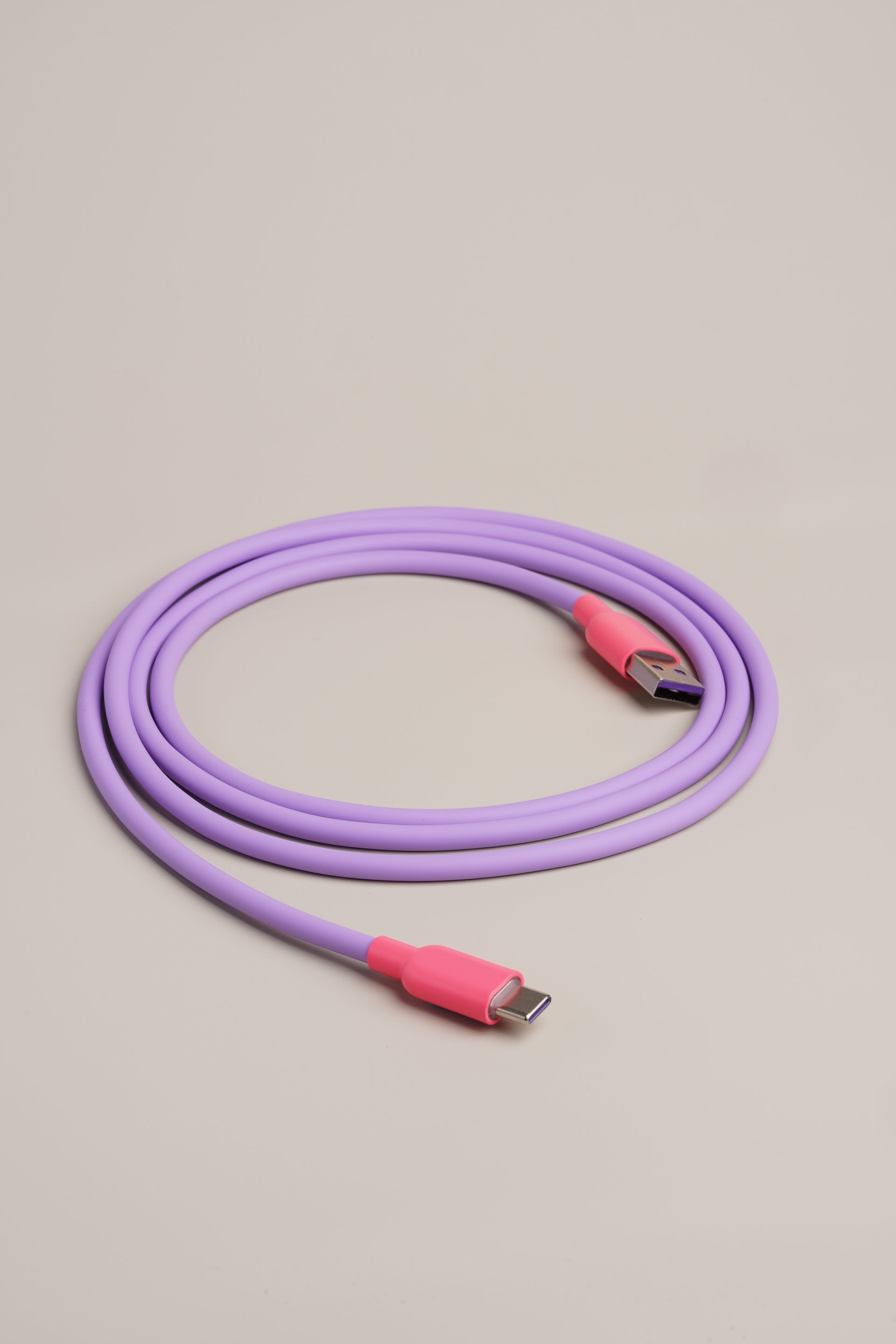 Vaporwave Charger Cable